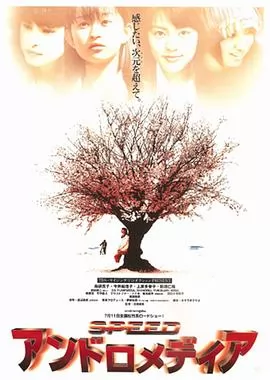 仙女座报告